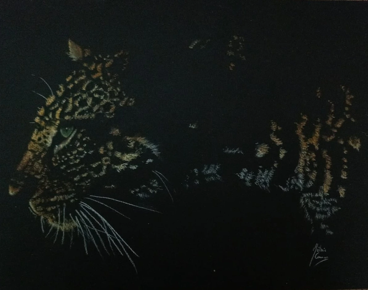 Panthère aux crayons pastel sec sur fond noir